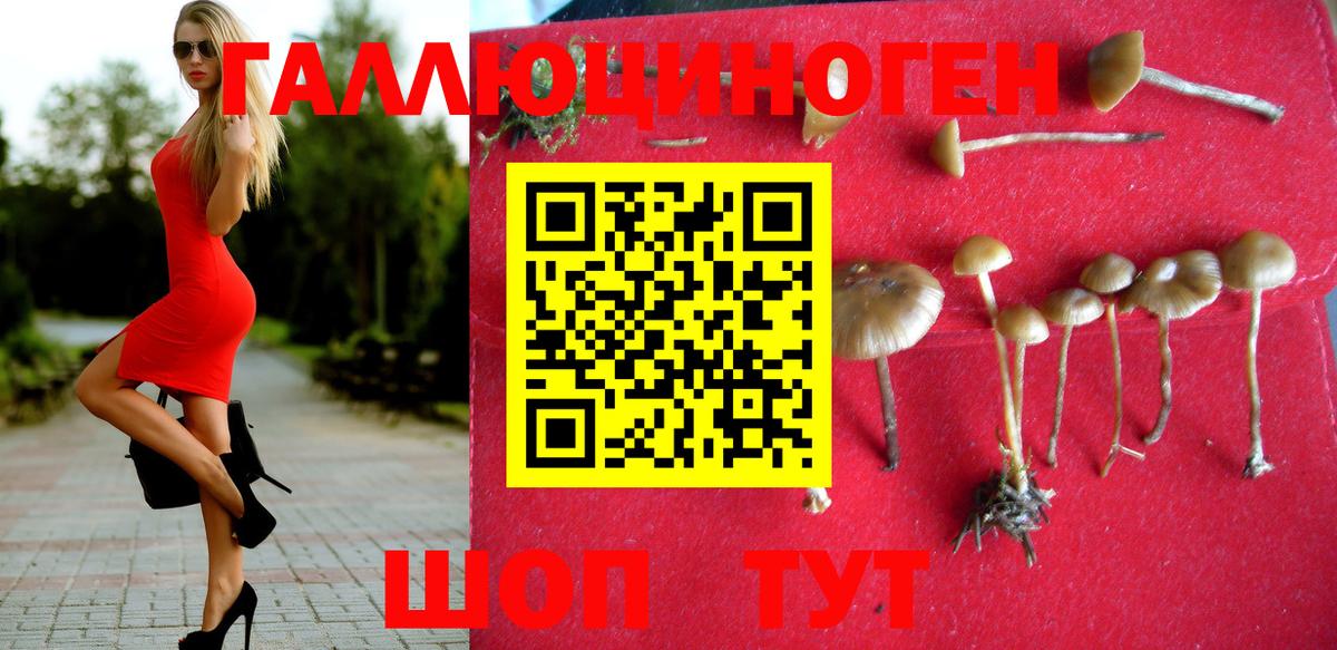 Псилоцибиновые грибы мицелий  магазин продажи   Кириши  Псилоцибиновые грибы мухоморы  Вход с VPN 